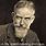 Bernard Shaw Quotes On Life