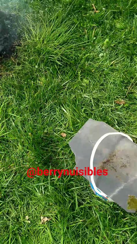 Berry nuisibles à Sazeray