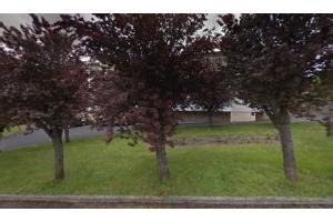 Besson Barlier Nicole à Langeac