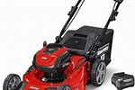 Best Consumer Rated Lawn Mowers