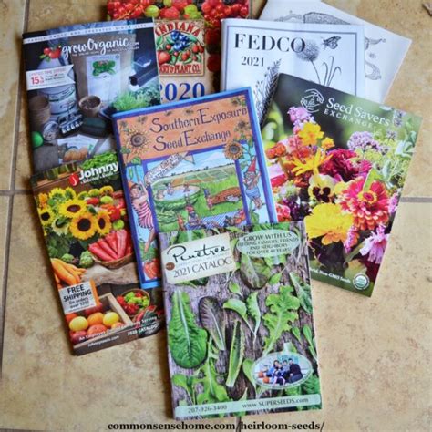 Best Organic Seed Catalogs