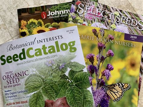 Best Plant Catalogs