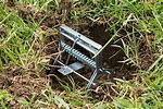 Best Rated Mole Traps