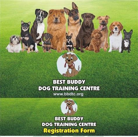 Best buddy dog training center moradabad