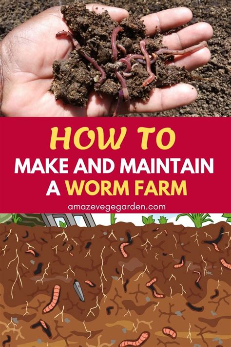 Bharat worm farm - Vermicompost
