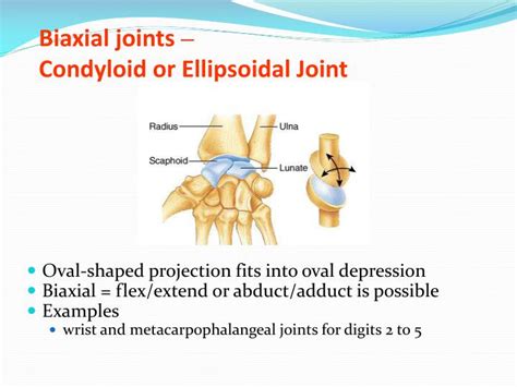 Joint Examples