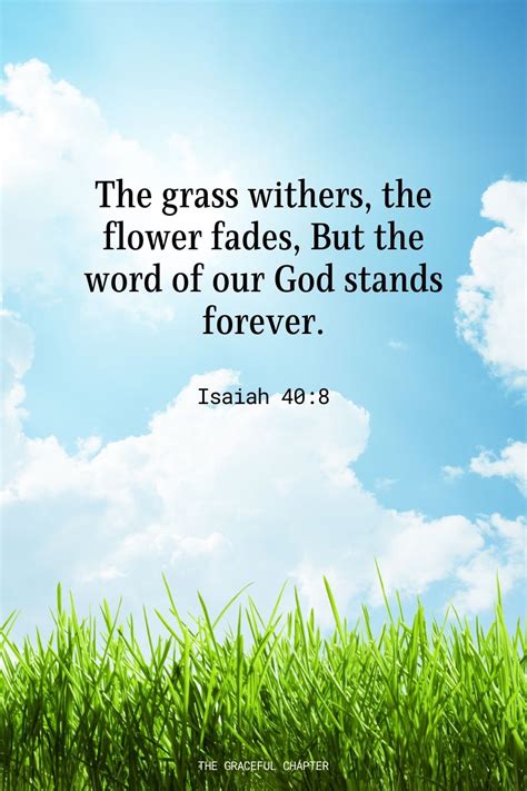 Bible-Verses-About-Flowers
