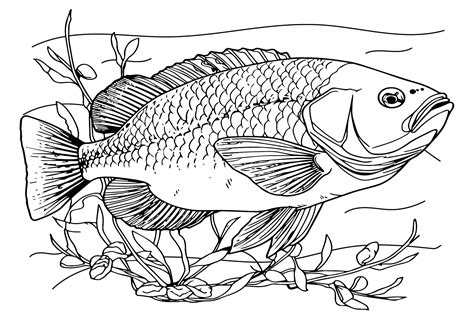 Big Fish Printable
