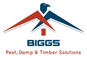 Biggs Pest Damp & Timber Solutions