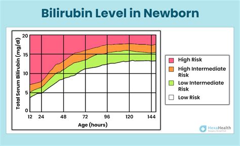 Bilirubin Levels In Newborns Chart