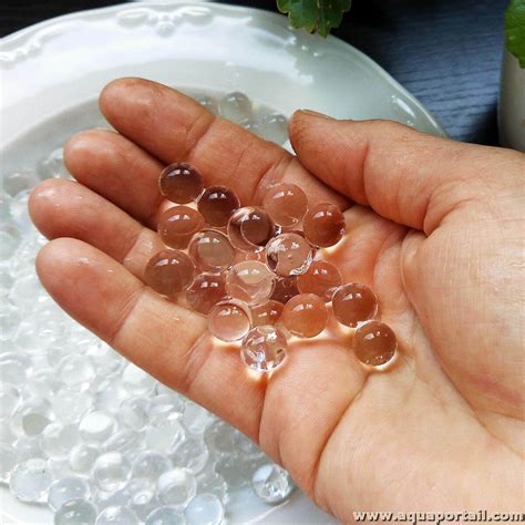 Billes hydrogel à Revin
