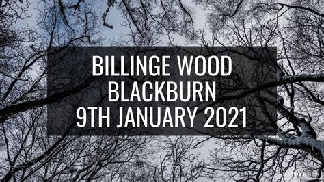Billinge Wood