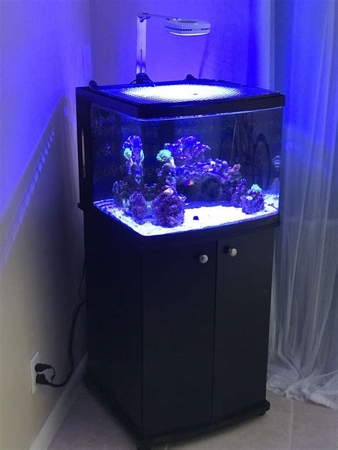 Bio Cube Fish Tank conclusion