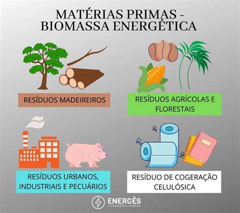 Biomassa