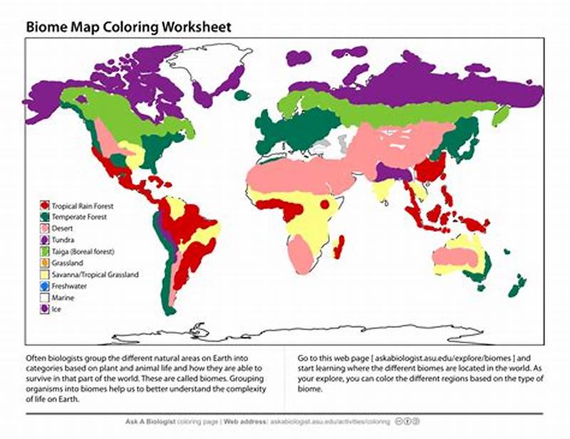 Biome Map Coloring Worksheet Answers Key