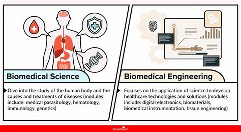 Biomedical Engineering Vs Computer Science Salary