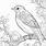 Bird-Coloring-Pages