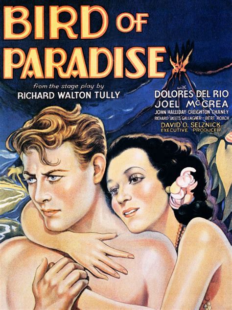 Bird of Paradise (1975) film online, Bird of Paradise (1975) eesti film, Bird of Paradise (1975) full movie, Bird of Paradise (1975) imdb, Bird of Paradise (1975) putlocker, Bird of Paradise (1975) watch movies online,Bird of Paradise (1975) popcorn time, Bird of Paradise (1975) youtube download, Bird of Paradise (1975) torrent download