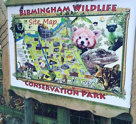 Birmingham Wildlife Conservation Park
