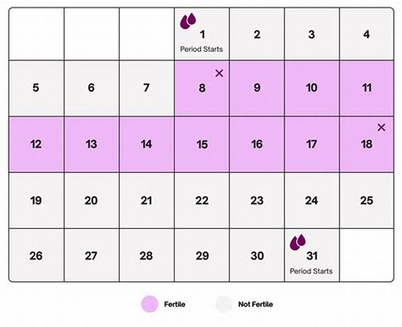 Birth Control Using Calendar Method