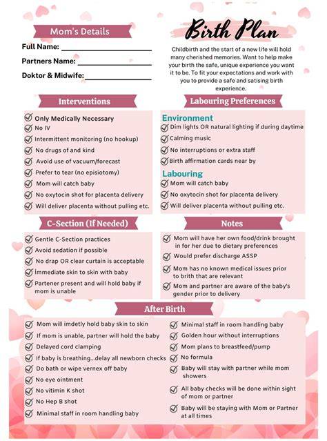 Birth Plan Template Canva