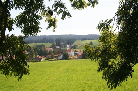 Bitto house à Lajoux