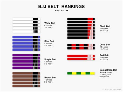 Bjj Belt Progression Chart