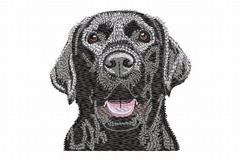 Black Lab Embroidery Pattern