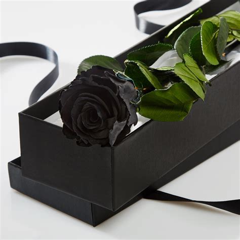 Black Rose gift & haberdashery
