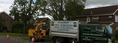 Blagdon Tree Surgeons