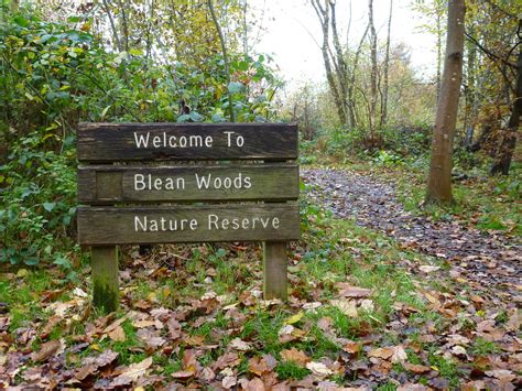 Blean Woods National Nature Reserve