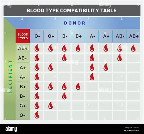 Blood Group Donor And Recipient Chart