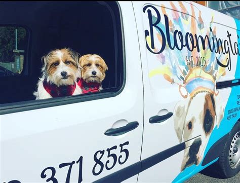 Bloomingtails Dog Grooming
