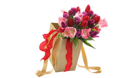BloomsVilla- Flower Delivery In Whitefield