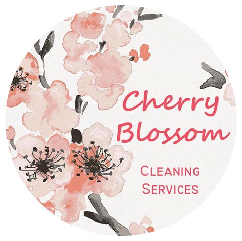 Blossom Cleaning & Organizing LLC