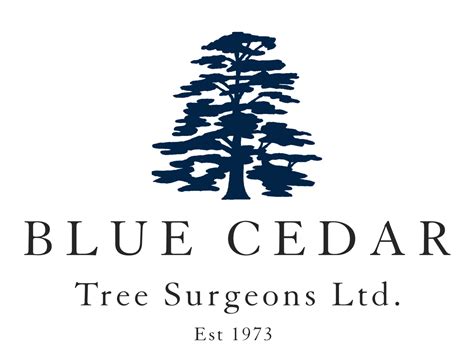 Blue Cedar Tree Surgeons Ltd