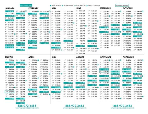Blue Heron Bridge Tide Chart