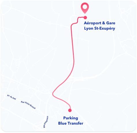Blue Transfer à Lyon