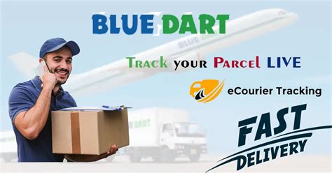 Bluedart Courier Service