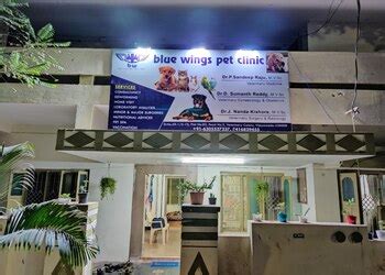 Bluewings petclinic