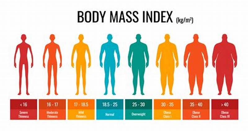 Bmi Chart Classification
