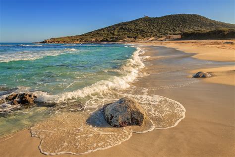 Bodri à Corbara