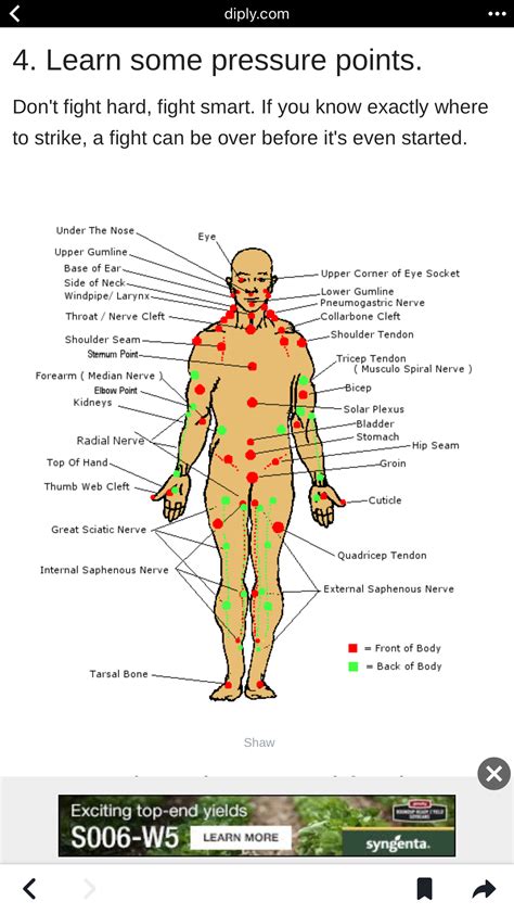 Body Pressure Points Chart