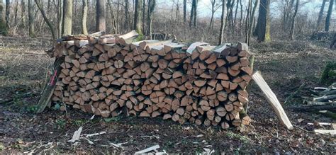 Bois de Volstroff à Volstroff