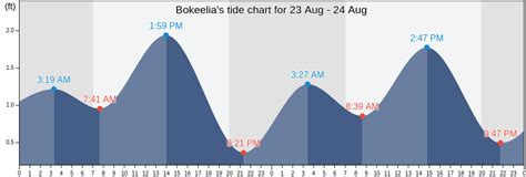 Bokeelia Tide Chart