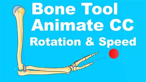 Bone Tool