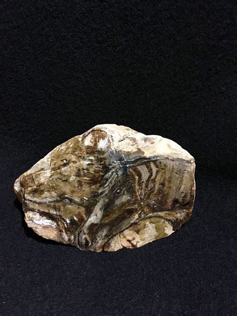 Bonneau Daniel à Challans