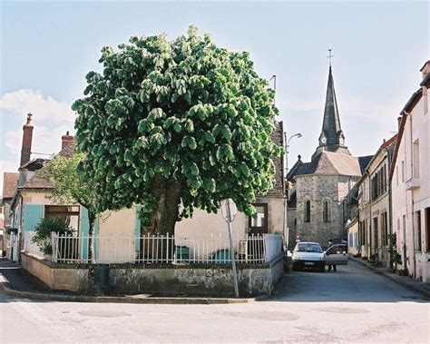 Bordes EURL à Cressanges