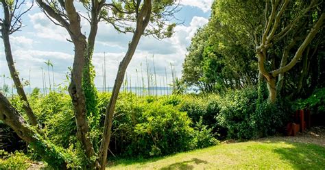 Boscombe Cliff Gardens