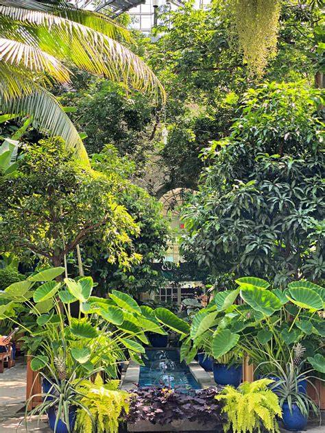 Botanic Garden OÜ 